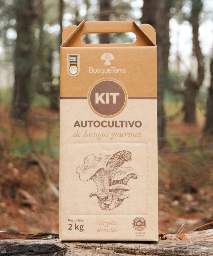 Kit de autocultivo de hongos gourmet