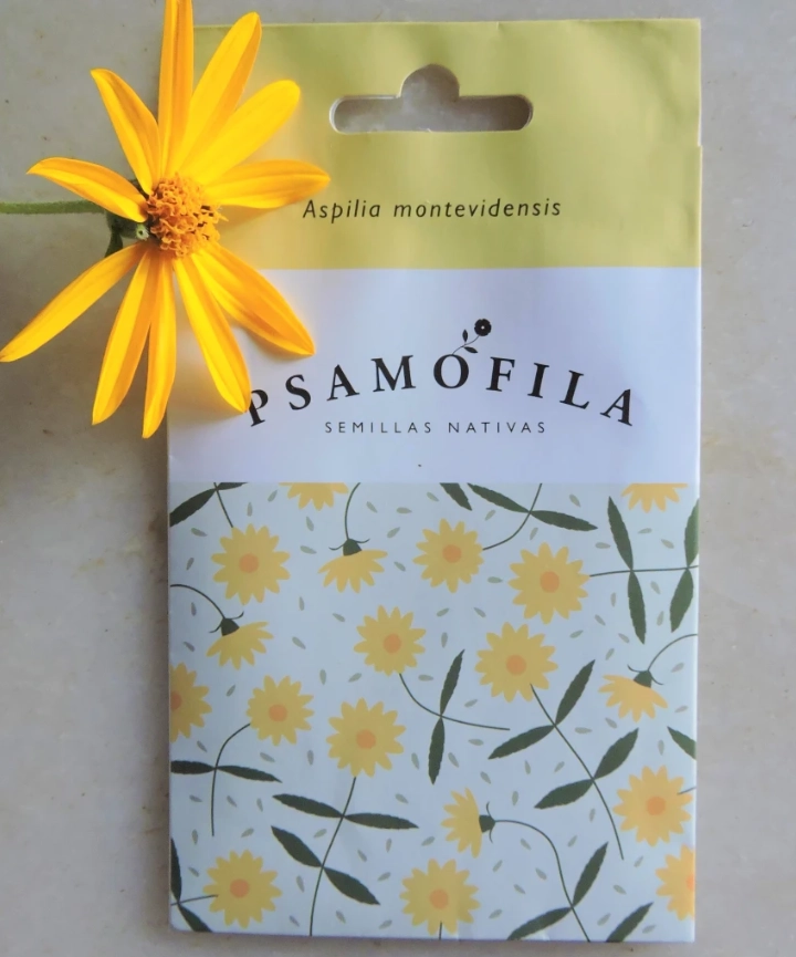 Semillas de Aspilia montevidensis – Mal me quieres