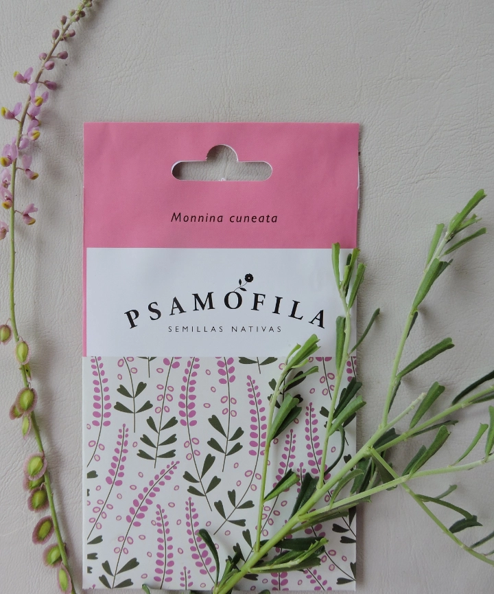 Semillas de Monnina cuneata – Monina
