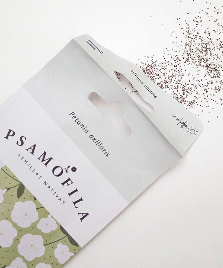Semillas de Petunia axillaris – Petunia blanca / Coroyuyo - Imagen 3
