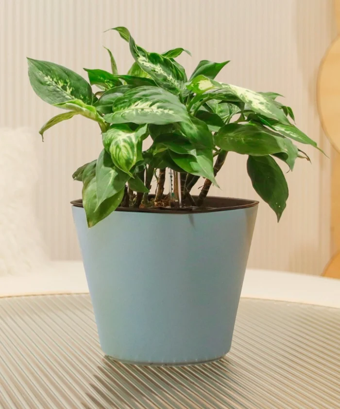 Maceta de Autorriego Oceans 35 cm