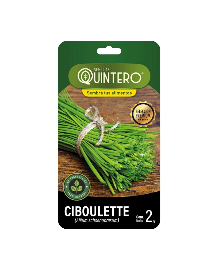 Semillas de Ciboulette (Allium schoenoprasum) – 2g
