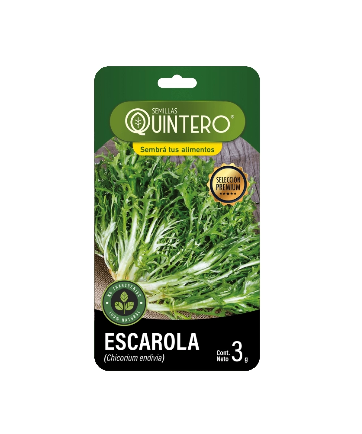 Semillas de Escarola – 3g
