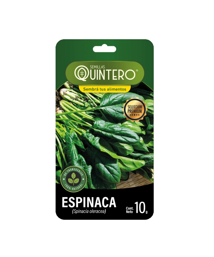 Semillas de Espinaca (Spinacia oleracea) – 10g