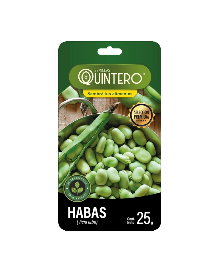 Semillas de Haba (Vicia faba) – 25g