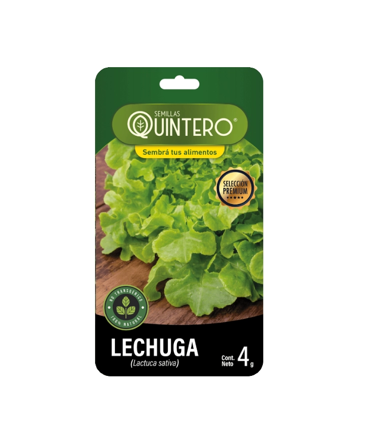 Semillas de Lechuga (Lactuca sativa) – 4g
