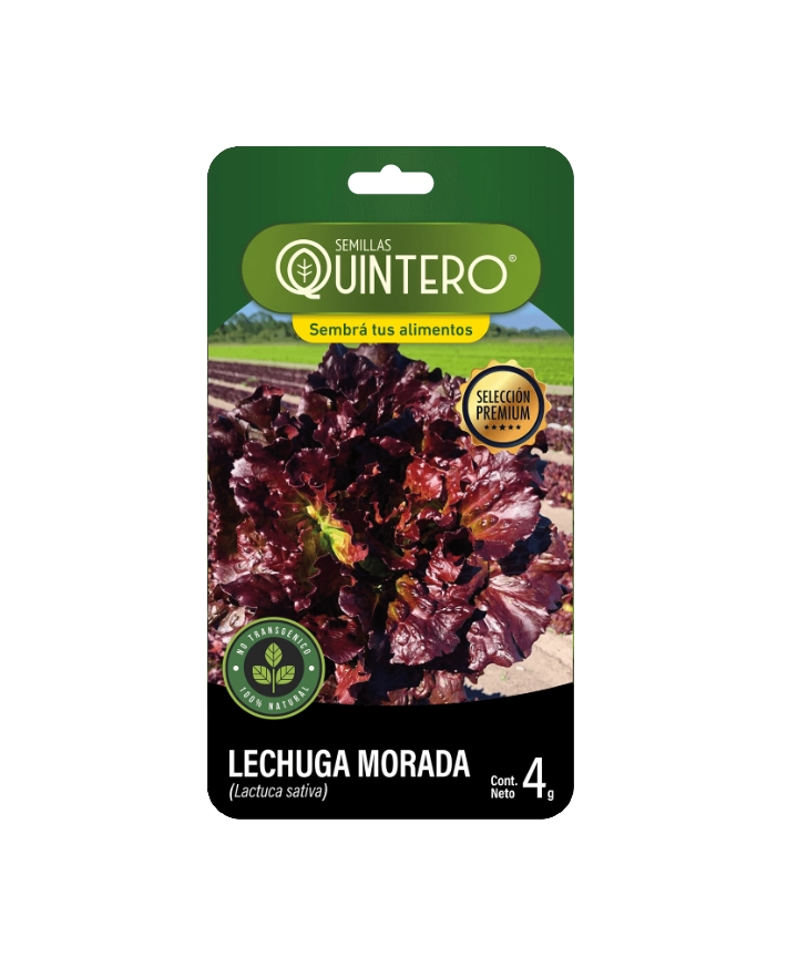 Semillas de Lechuga morada – 4g