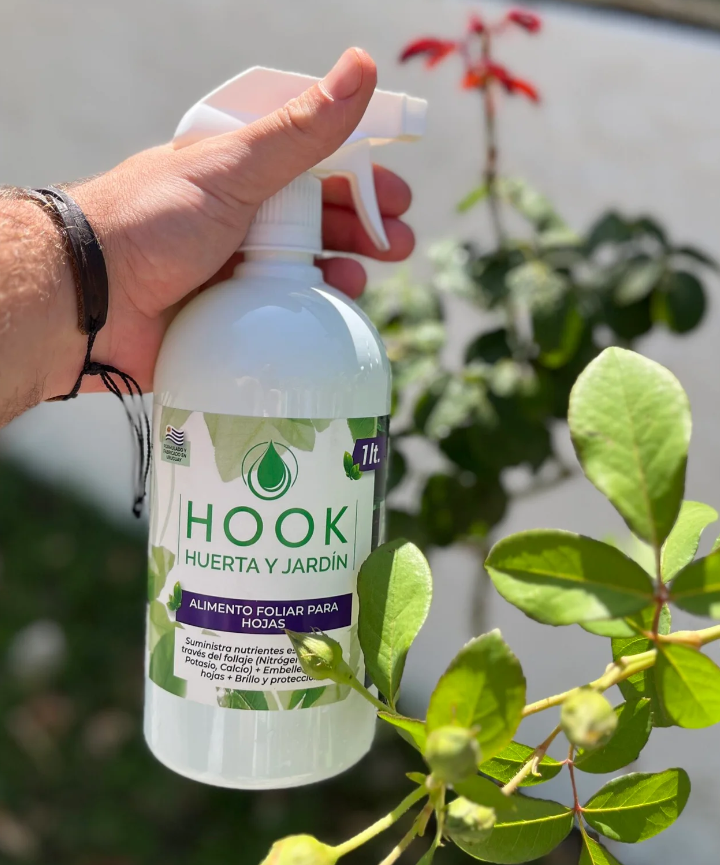 Alimento Foliar para hojas Hook