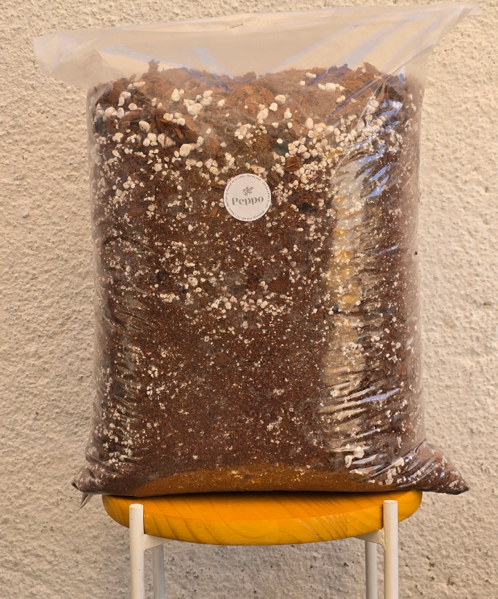 Sustrato Premium para Aroides varios tamaños