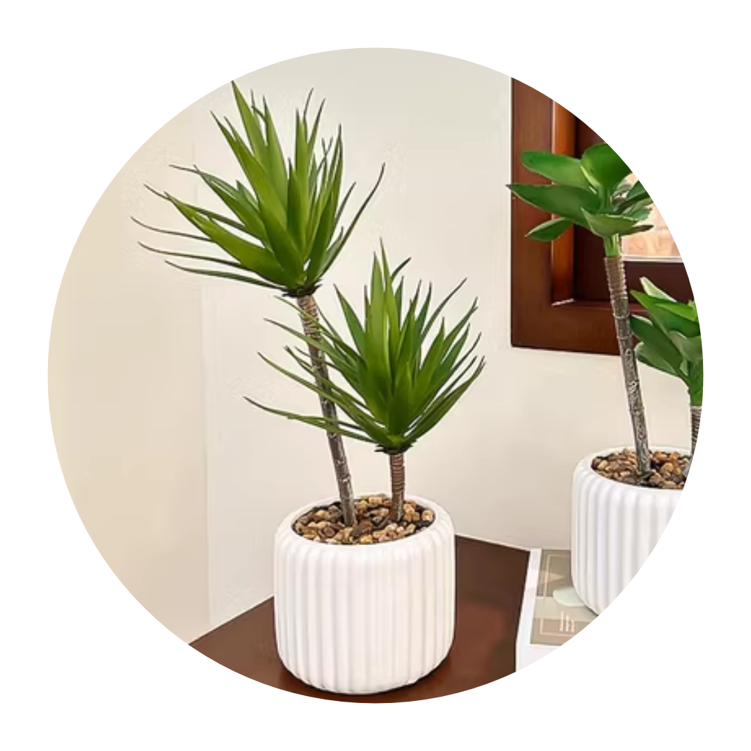 Macetas y accesorios