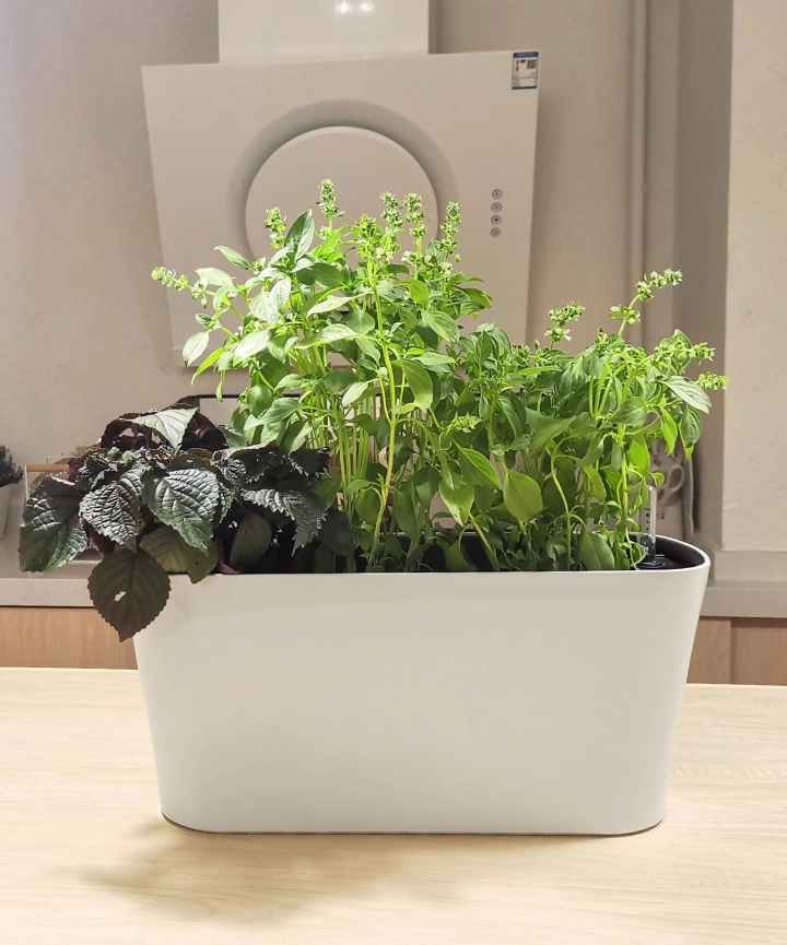 Maceta Autorriego Cloud 40 cm