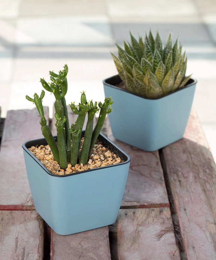 Maceta Autorriego Rains 10cm