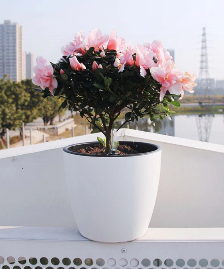 Maceta autorriego Aquas 22cm