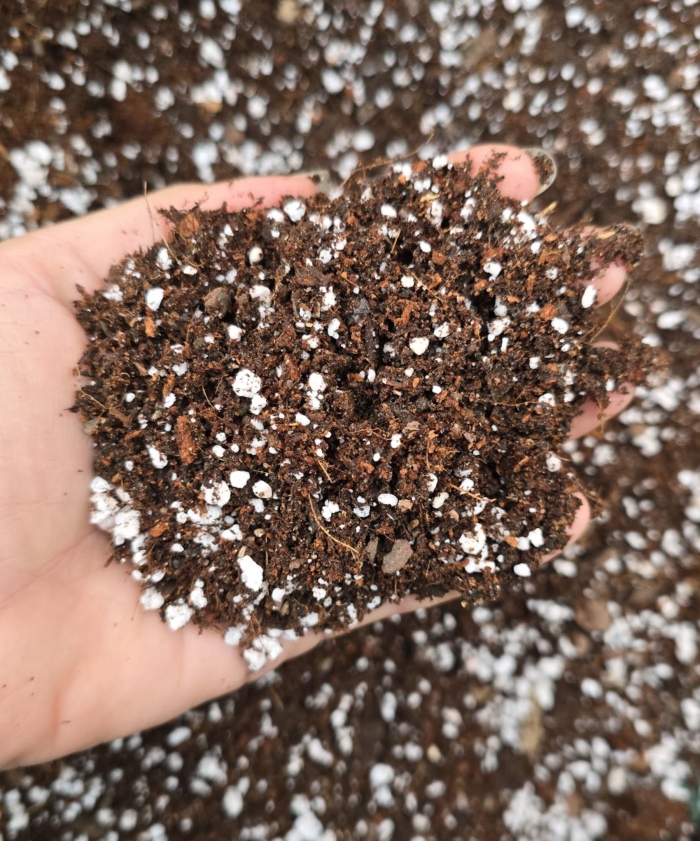 Sustrato Base para Plantas de Interior