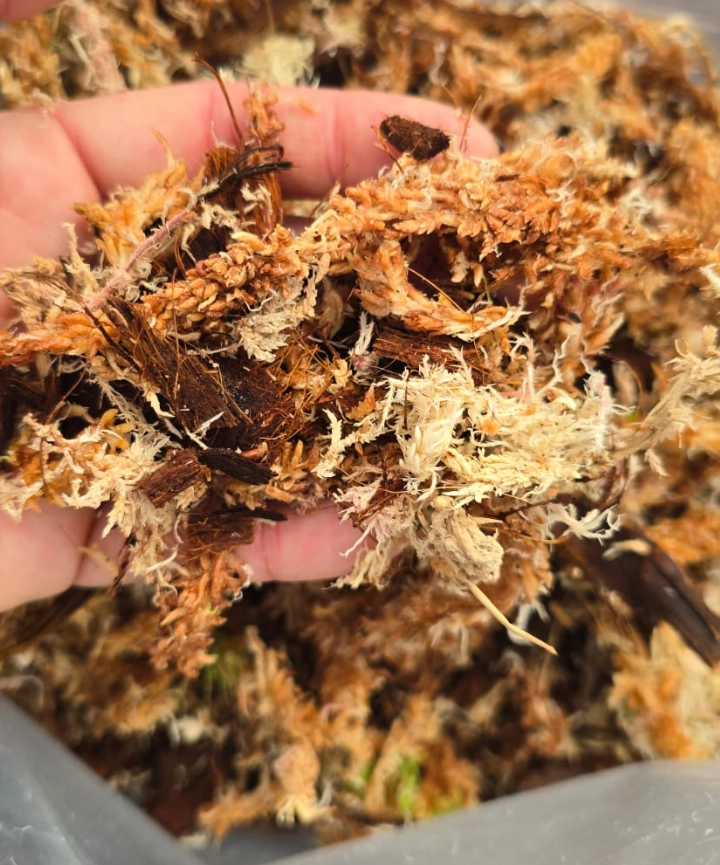 Mix para tutores de musgo