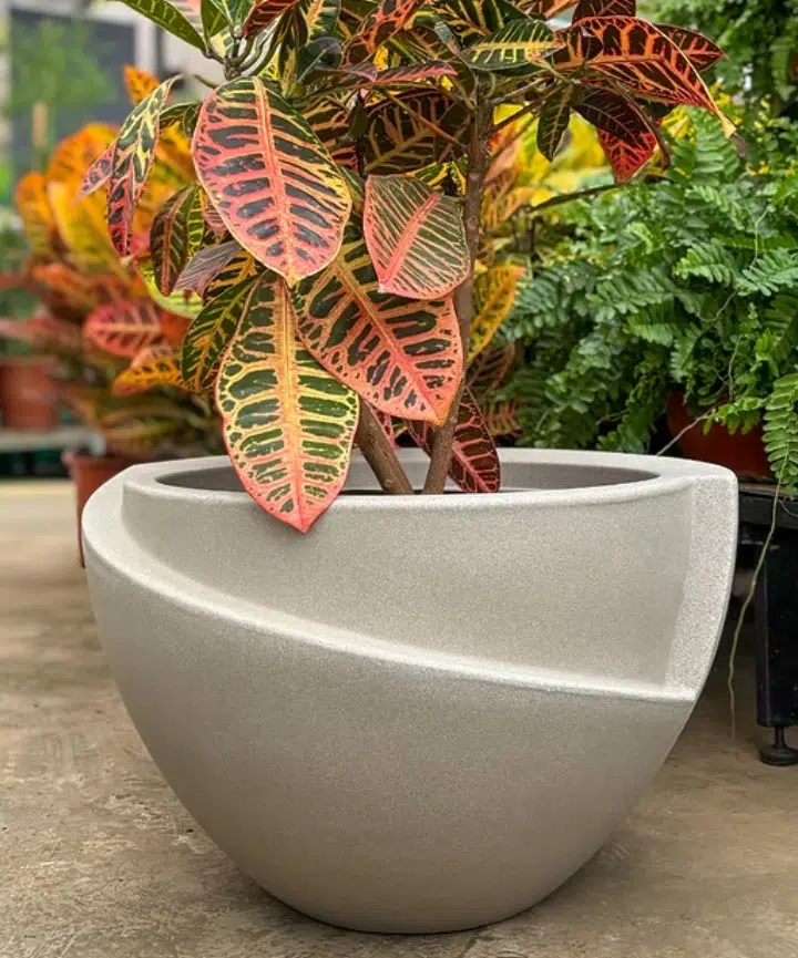 Maceta Curitiba Plástico Rotomoldeado - Imagen 7