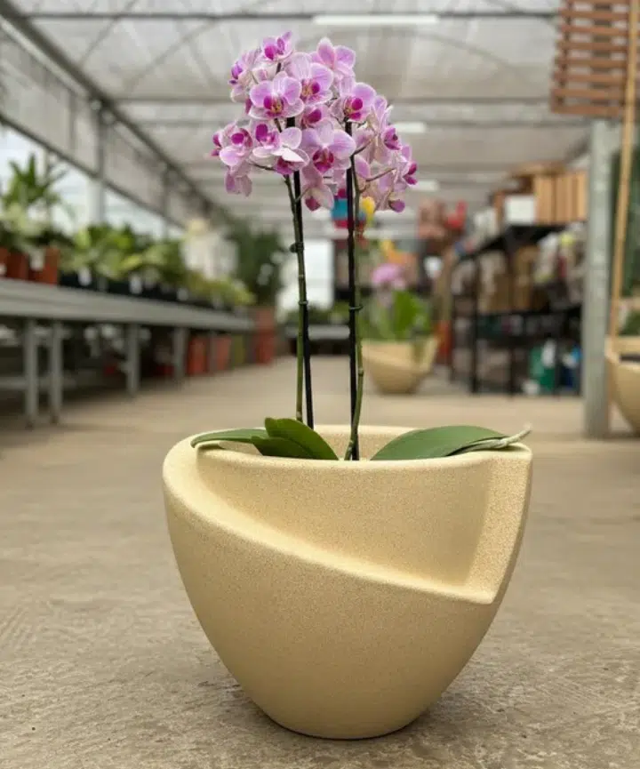 Maceta Curitiba Plástico Rotomoldeado - Imagen 6