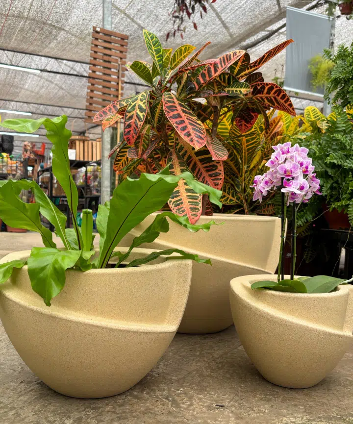 Maceta Curitiba Plástico Rotomoldeado - Imagen 4