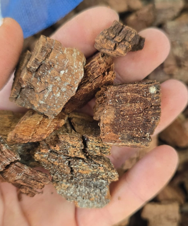 Chip de Pino Natural - Imagen 4