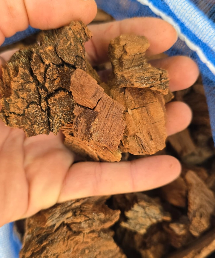 Chip de Pino Natural - Imagen 3