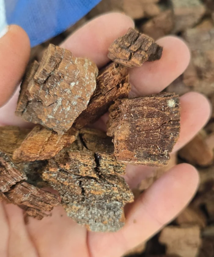 Chip de Pino Natural