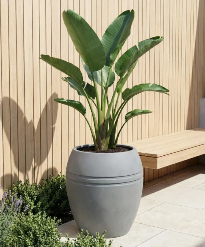 Maceta Extra Grande Pisa 224 L