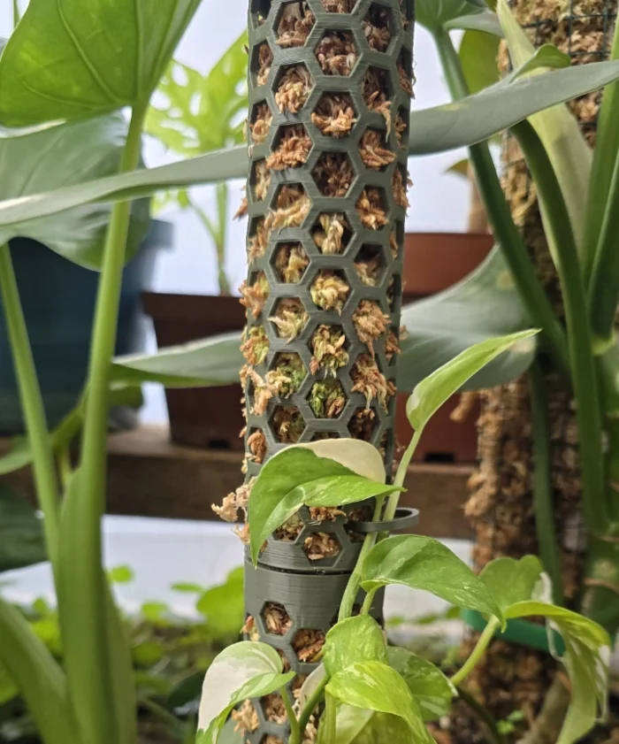 Tutor modular para plantas